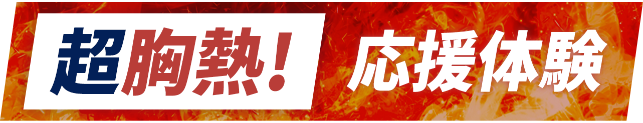 超胸熱!応援体験